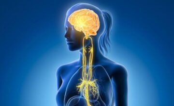 db2b7b5c3650121ed97ec11a488f3555