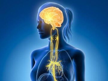 db2b7b5c3650121ed97ec11a488f3555