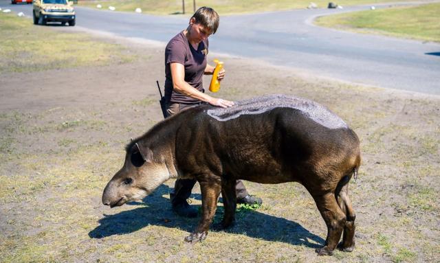 e441134066f0ac4aac59e63b7f53323f